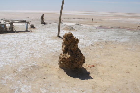 Фотография Солончак Шотт-эль-Джерид 4