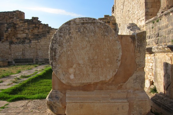 Фотография Дугга 6