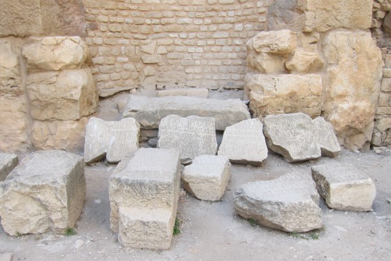 Фотография Дугга 7