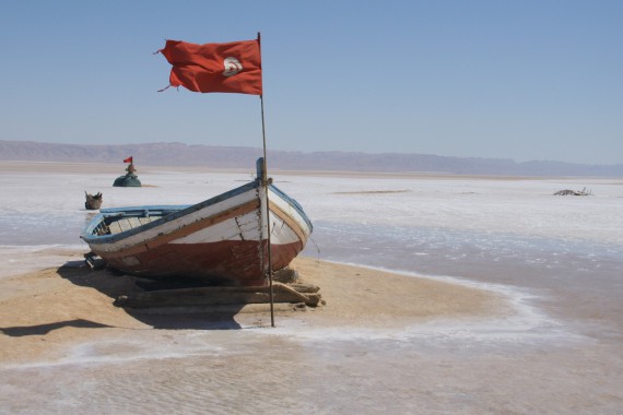 Фотография Солончак Шотт-эль-Джерид 2