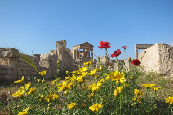 Фотография Дугга 5