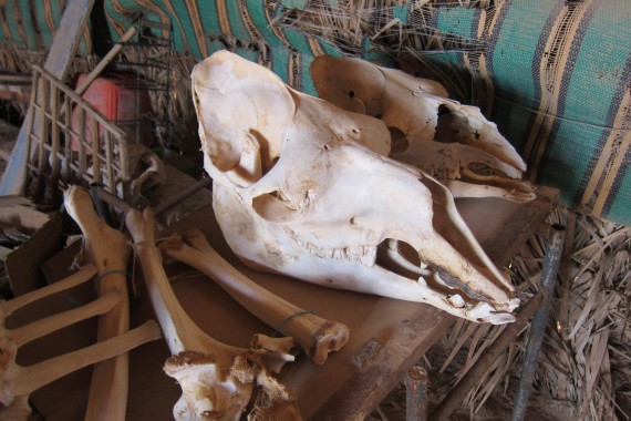 Фотография Солончак Шотт-эль-Джерид 9