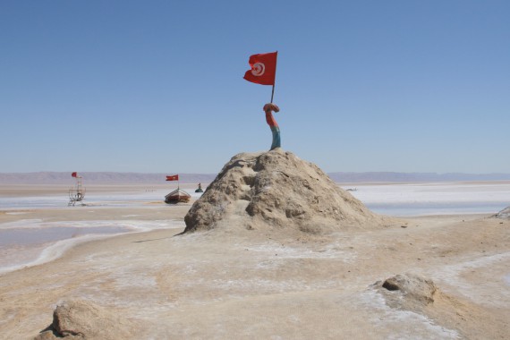 Фотография Солончак Шотт-эль-Джерид 0