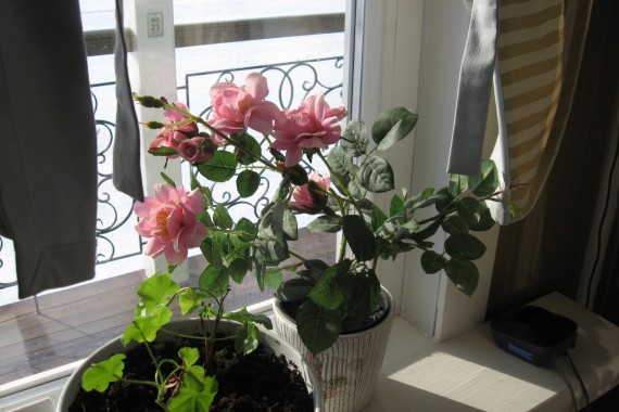 Фотография Ресторанный комплекс «Старая Пристань» 45