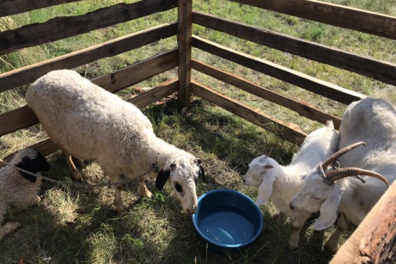 Фотография Сердце Тувы 14