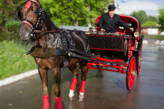 Фотография Ресторанный комплекс «Старая Пристань» 7