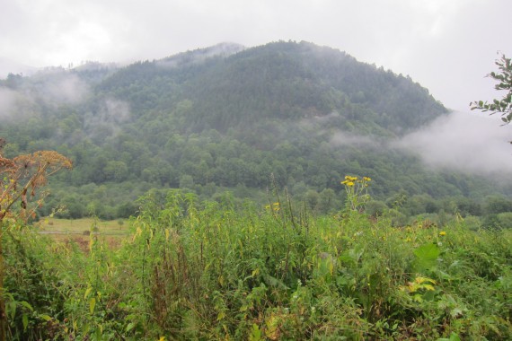 Фотография Нижне-Архызский археологический комплекс 4