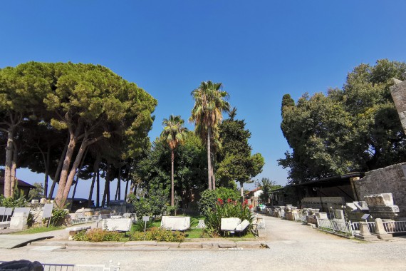 Фотография Музей Сиде 25