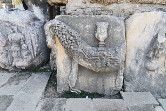 Фотография Музей Сиде 13