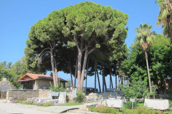 Фотография Музей Сиде 3