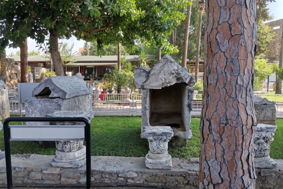 Фотография Музей Сиде 38