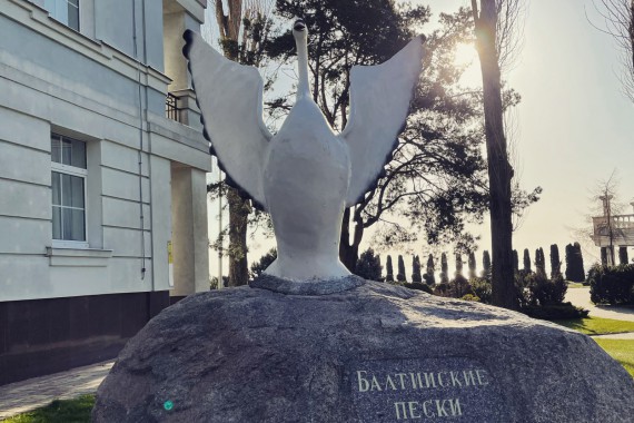 Фотография Пансионат «Балтийские пески» 9