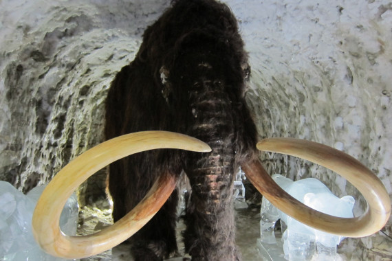 Фотография Царство вечной мерзлоты 14