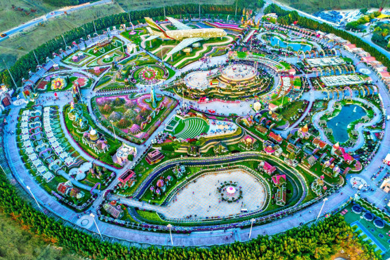 Фотография Сад чудес 0