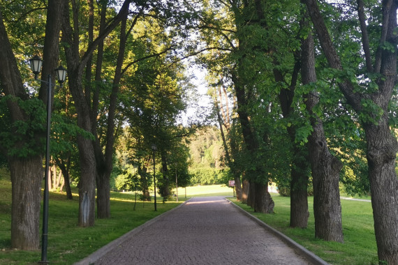 Фотография Усадьба Дубровицы 11