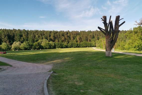 Фотография Усадьба Дубровицы 12