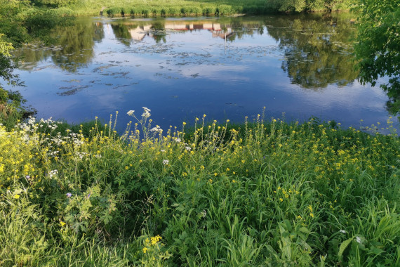 Фотография Усадьба Дубровицы 13