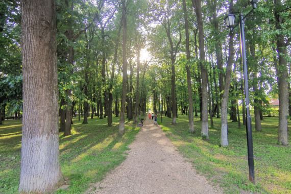 Фотография Усадьба Дубровицы 9