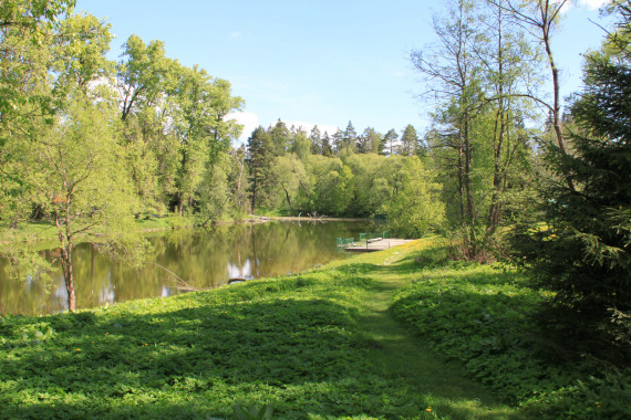 Фотография Пансионат с лечением «Актёр» 17