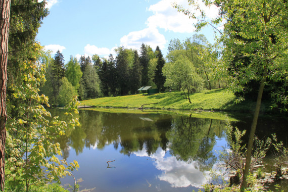 Фотография Пансионат с лечением «Актёр» 18