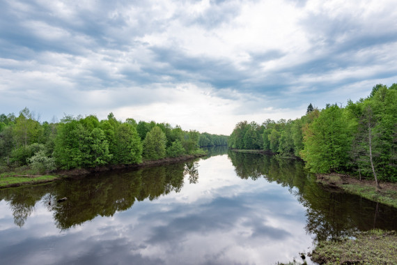 Фотография Заповедник «Большая Кокшага» 0
