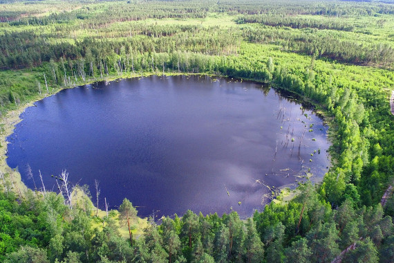 Фотография Озеро Смердячье 0