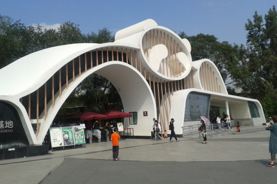 Фотография Центр изучения и разведения больших панд 2