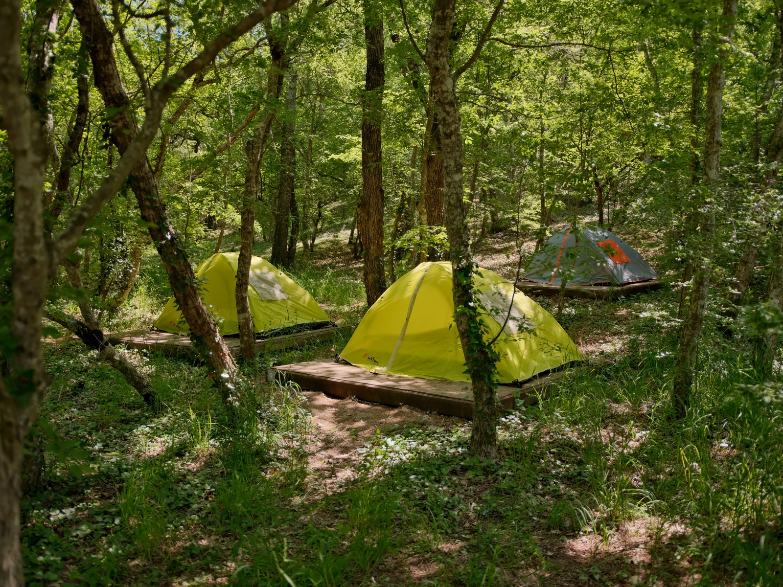 Туристический лагерь «Абрау-Дюрсо» 