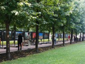 Израиль на Цветном бульваре