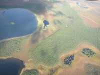 Земля Кошачьего Локотка