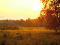 Путешествие: Окуневская сказка